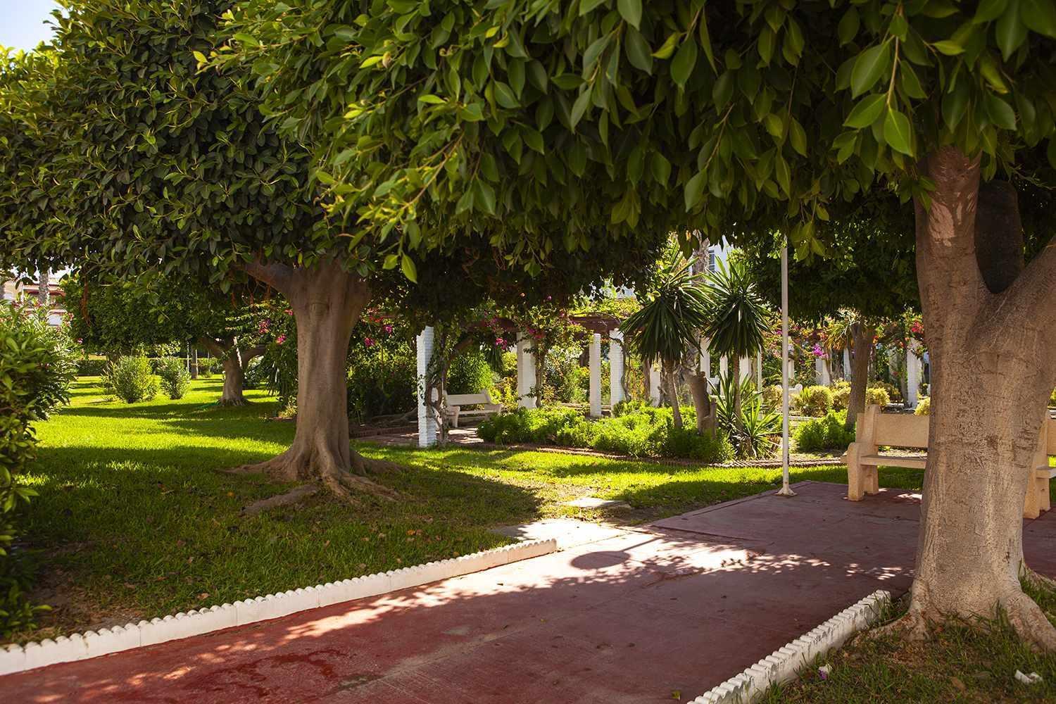 A 100M De Playa Piscina Y Todos Los Servicios Apartment Torrox Ngoại thất bức ảnh
